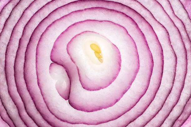 Levně Plakát, Obraz - Onion Slices Full Frame Close Up Shot, MirageC, 40 × 26.7 cm