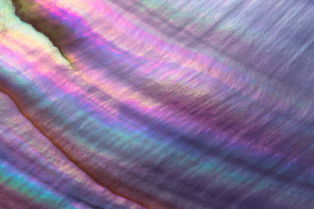 Levně Plakát, Obraz - Colorful Pearl Shell Macrophotography, MirageC, 40 × 26.7 cm