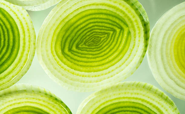 Levně Plakát, Obraz - Colorful green and yellow leek slices., tamjkelly, 40 × 24.7 cm