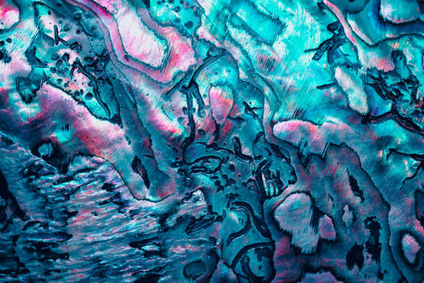 Levně Plakát, Obraz - new zealand paua shell in blue, Elen11, 40 × 26.7 cm