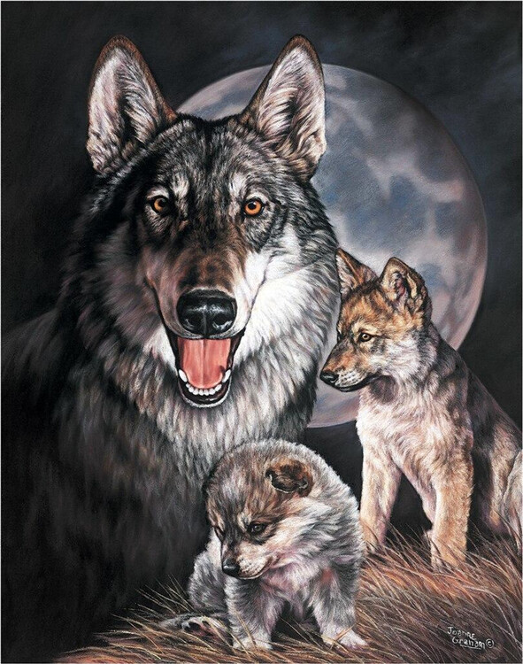 Metallschild GRAHAM - Wolf Experience