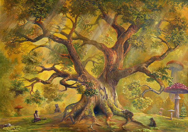 Levně Plakát, Obraz - In Fairy Forest, Pobytov, 40 × 26.7 cm