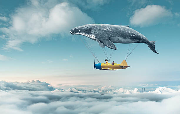 Levně Plakát, Obraz - Take me to the dream, jamesteohart, 40 × 26.7 cm