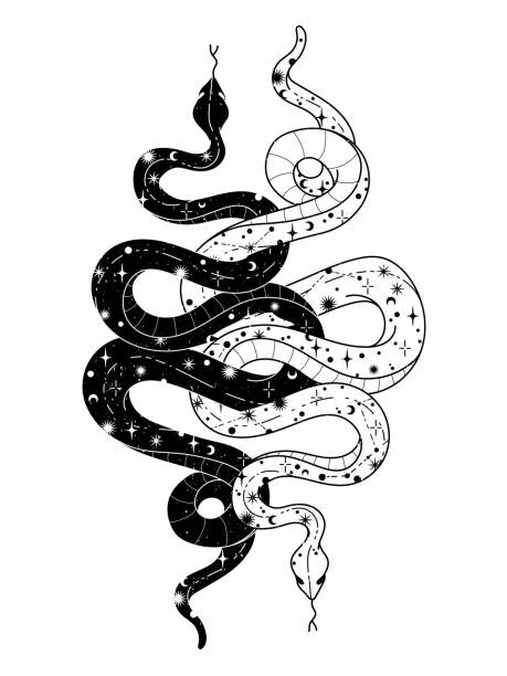 Levně Plakát, Obraz - Occult trendy hand drawn illustration with, Martyshova, 30 × 40 cm