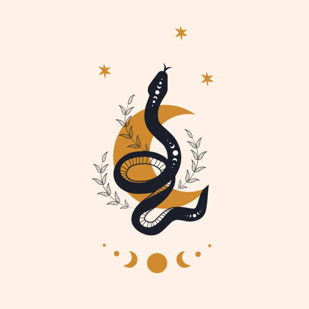 Levně Plakát, Obraz - Magic snake in boho style with, Svetlana Larshina, 40 × 40 cm