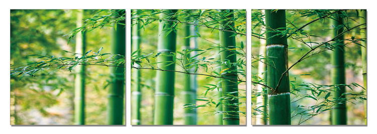 Bamboo Forest - Leaves Schilderij