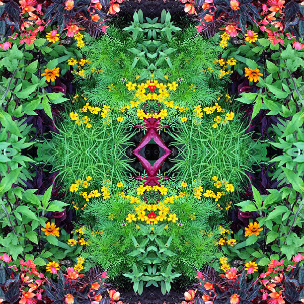 Levně Plakát, Obraz - Flower Mandala, Mike Hill, 40 × 40 cm