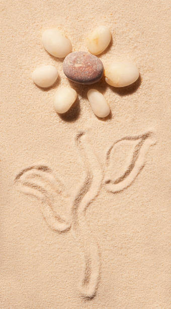 Levně Plakát, Obraz - Flower of sea stones drawn on, AndrewRafalsky, 22.2 × 40 cm