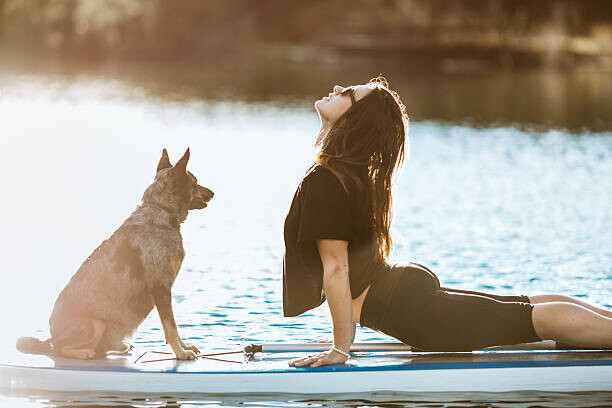 Levně Plakát, Obraz - Paddleboarding Woman With Dog, RyanJLane, 40 × 26.7 cm