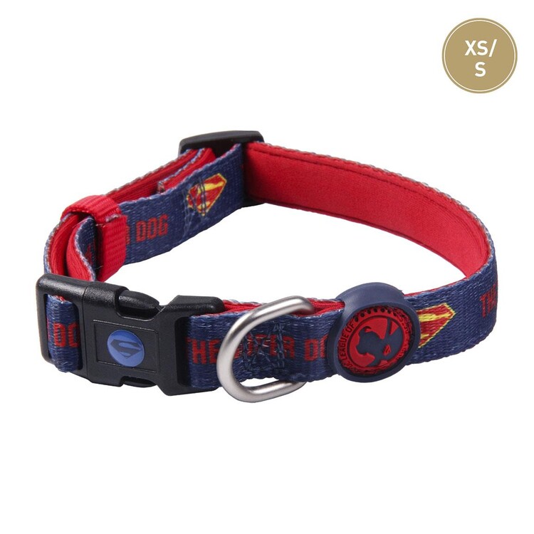 Collare DC Pets