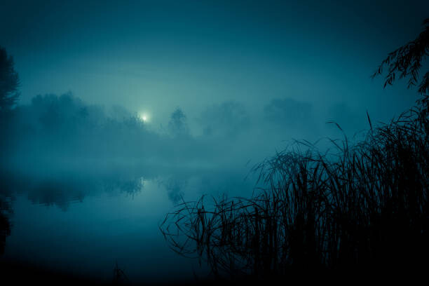 Levně Plakát, Obraz - Night mystical scenery. Full moon over, stsmhn, 40 × 26.7 cm