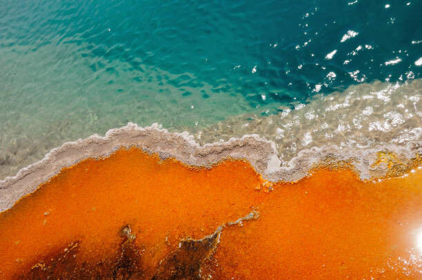 Levně Plakát, Obraz - Grand Prismatic Spring in Yellowstone National, Vineesh Devasia, 40 × 26.7 cm