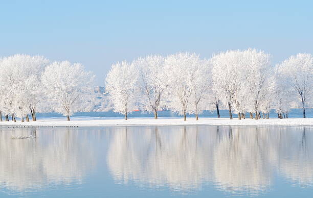 Levně Plakát, Obraz - winter landscape with beautiful reflection in, bereta, 40 × 26.7 cm