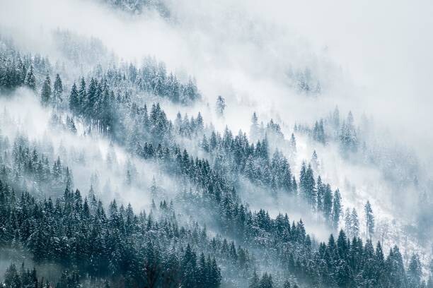 Levně Plakát, Obraz - Misty Mountains, Markus Novak, 40 × 26.7 cm