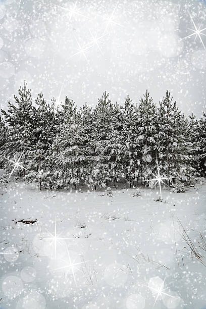 Levně Plakát, Obraz - Beautiful winter landscape with snow covered trees, viperagp, 26.7 × 40 cm
