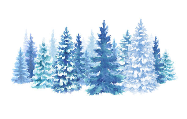 Levně Plakát, Obraz - watercolor snowy forest illustration, Christmas fir, wacomka, 40 × 26.7 cm