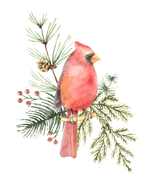 Levně Plakát, Obraz - Watercolor vector Christmas bouquet with Bird, ElenaMedvedeva, 33.3 × 40 cm