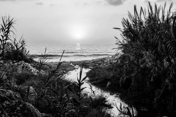 Fotografie Lebanese Coastline, Geraint Rowland Photography, 40 × 26.7 cm