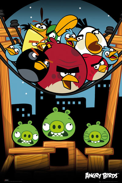 Poster Angry birds - On A Wire