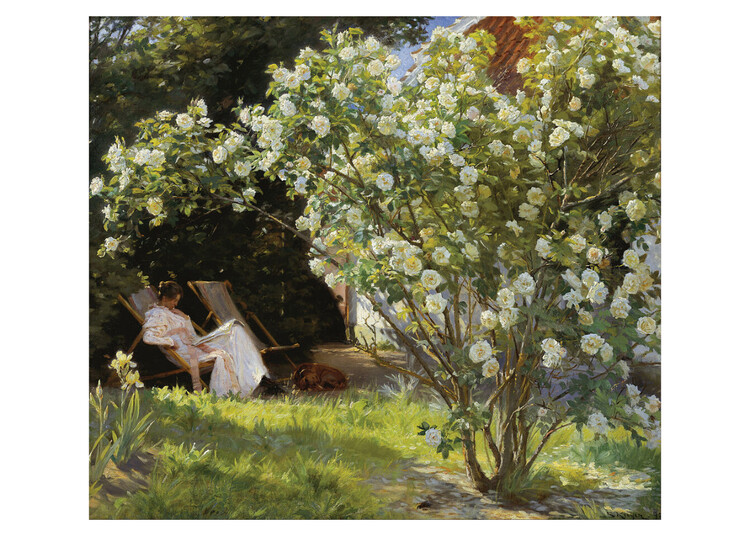 Levně Umělecký tisk Marie v zahradě (Růže), Peder Severin Kroyer, 50 × 40 cm