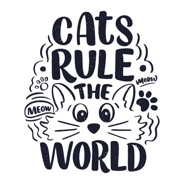 Ilustrace Funny lettering quote about cats for, SvetlanaKutsin, 40 × 40 cm