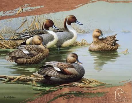 Metallschild DUCKS UNLIMITED - Morning