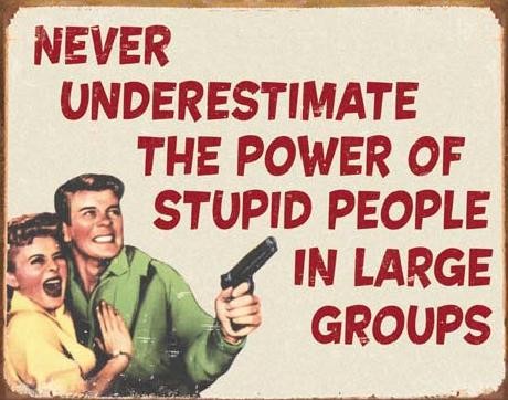 Metallschild EPHEMERA - Stupid People