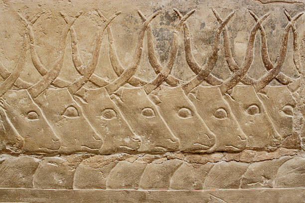 Levně Plakát, Obraz - ancient egyptian engravings depicting bulls on, slowcentury, 40 × 26.7 cm