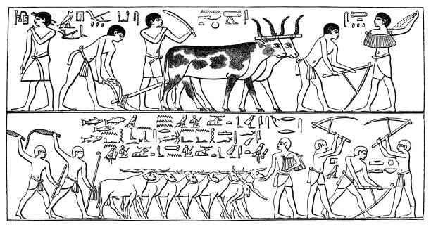 Fotografie Old engraved illustration of depiction from, mikroman6, 40 × 22.2 cm