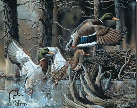 Metallschild DU - beaver pond