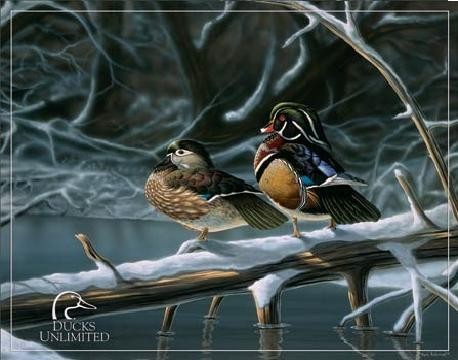 Metallschild DUCK UNLIMITED - interlude