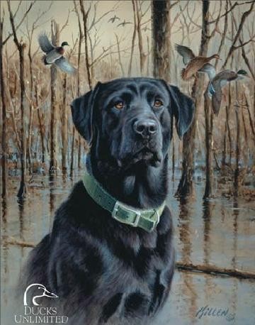 Metallschild DU - great retrievers