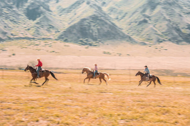 Levně Plakát, Obraz - Cowboys And Cowgirls Riding A Horse In Nature, AzmanL, 40 × 26.7 cm