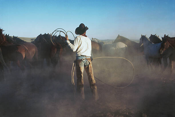 Levně Plakát, Obraz - Cowboy with lariat rounding up horses, Bread and Butter, 40 × 26.7 cm