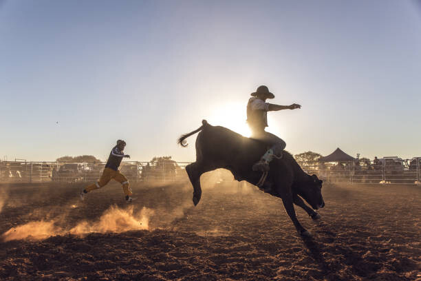 Levně Plakát, Obraz - Dust flying at a rodeo in, David Trood, 40 × 26.7 cm