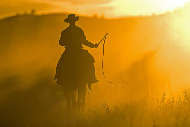 Ilustrace Silhouette of Cowboy at Sunset, Darrell Gulin, 40 × 26.7 cm
