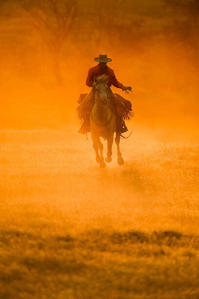 Levně Plakát, Obraz - Horseback rider, Tetra Images, 26.7 × 40 cm