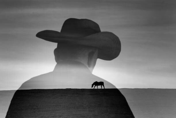 Levně Plakát, Obraz - Silhouette of cowboy and scenic view, Grant Faint, 40 × 26.7 cm