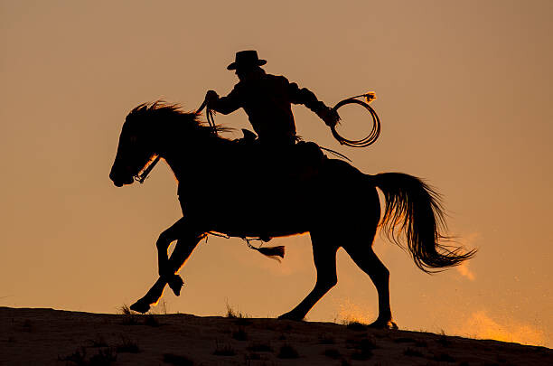 Ilustrace Cowboy & Horse Sunset Silhouette, Darrell Gulin, 40 × 26.7 cm