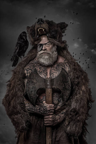Ilustrace Viking warrior Odin man with crows, Lorado, 26.7 × 40 cm