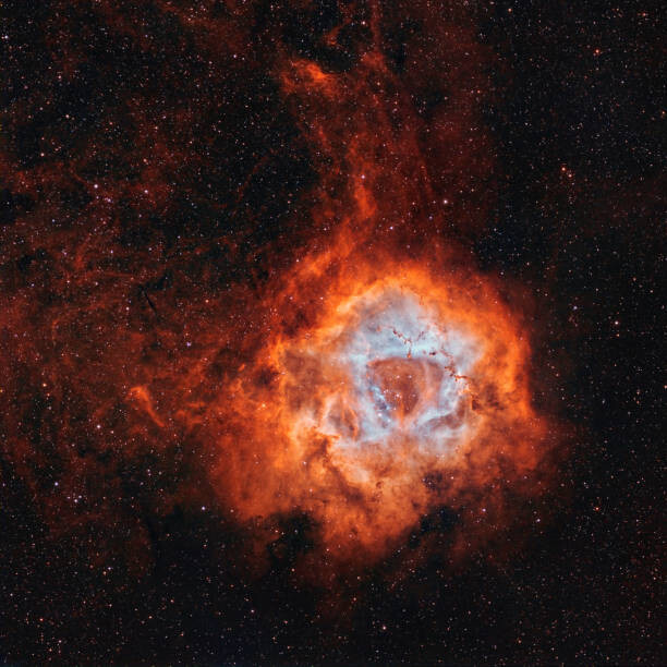 Levně Plakát, Obraz - NGC 2237, the Rosette Nebula, with, Rolf Geissinger/Stocktrek Images, 40 × 40 cm
