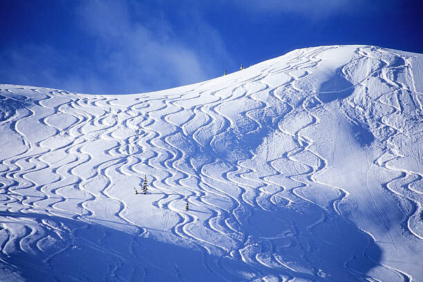 Levně Plakát, Obraz - Backcountry ski lines cover a beautiful hill., Heath Korvola, 40 × 26.7 cm