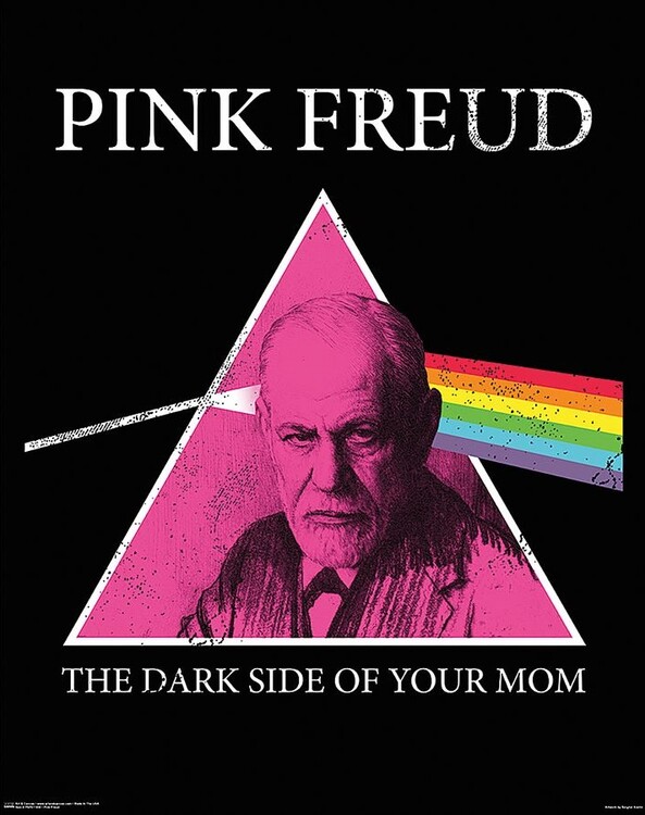 Pink Freud - Dark Side of your Mom, 61x76.5 cm
