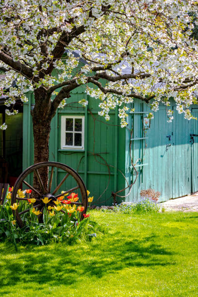 Levně Plakát, Obraz - Cozy cottage in a country garden, Germany, photography by Ulrich Hollmann, 26.7 × 40 cm