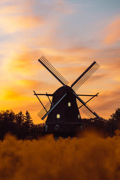 Plakát, Obraz - Old traditional wooden windmill in a, Photosbypatrik, 26.7 × 40 cm