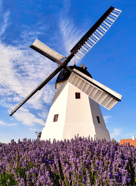 Plakát, Obraz - Windmill in Aarsdale, Bornholm island, Denmark, PATSTOCK, 30 × 40 cm