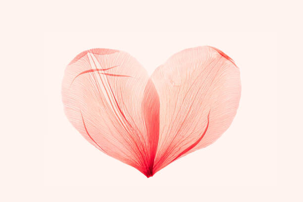 Levně Plakát, Obraz - Abstract shape heart from pink red, yrabota, 40 × 26.7 cm