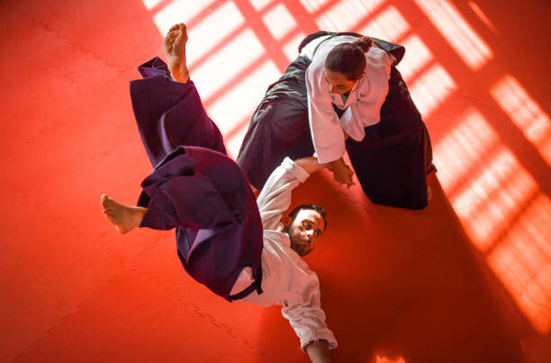Fotografie Two Aikido Fighters, sanjeri, 40 × 26.7 cm