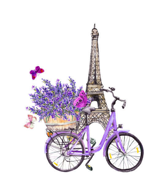Levně Plakát, Obraz - Butterflies, Eiffel tower, bicycle with lavender, zzorik, 35.4 × 40 cm