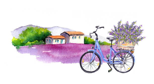 Levně Plakát, Obraz - Lavender flowers, bicycle with bouquet in, zzorik, 40 × 22.2 cm